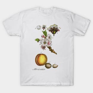 apricot T-Shirt